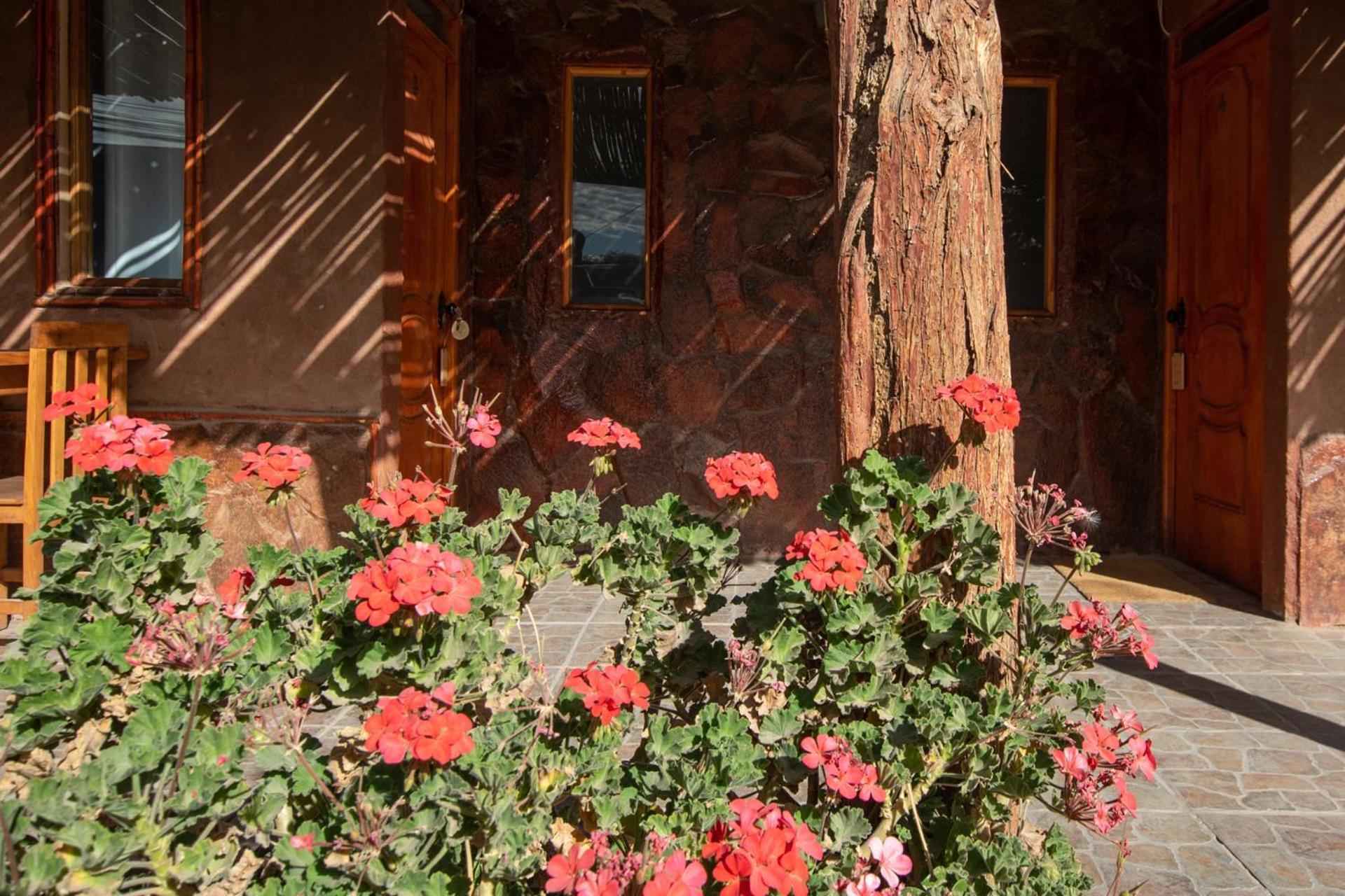 Casa Lickana B&B San Pedro De Atacama Extérieur photo