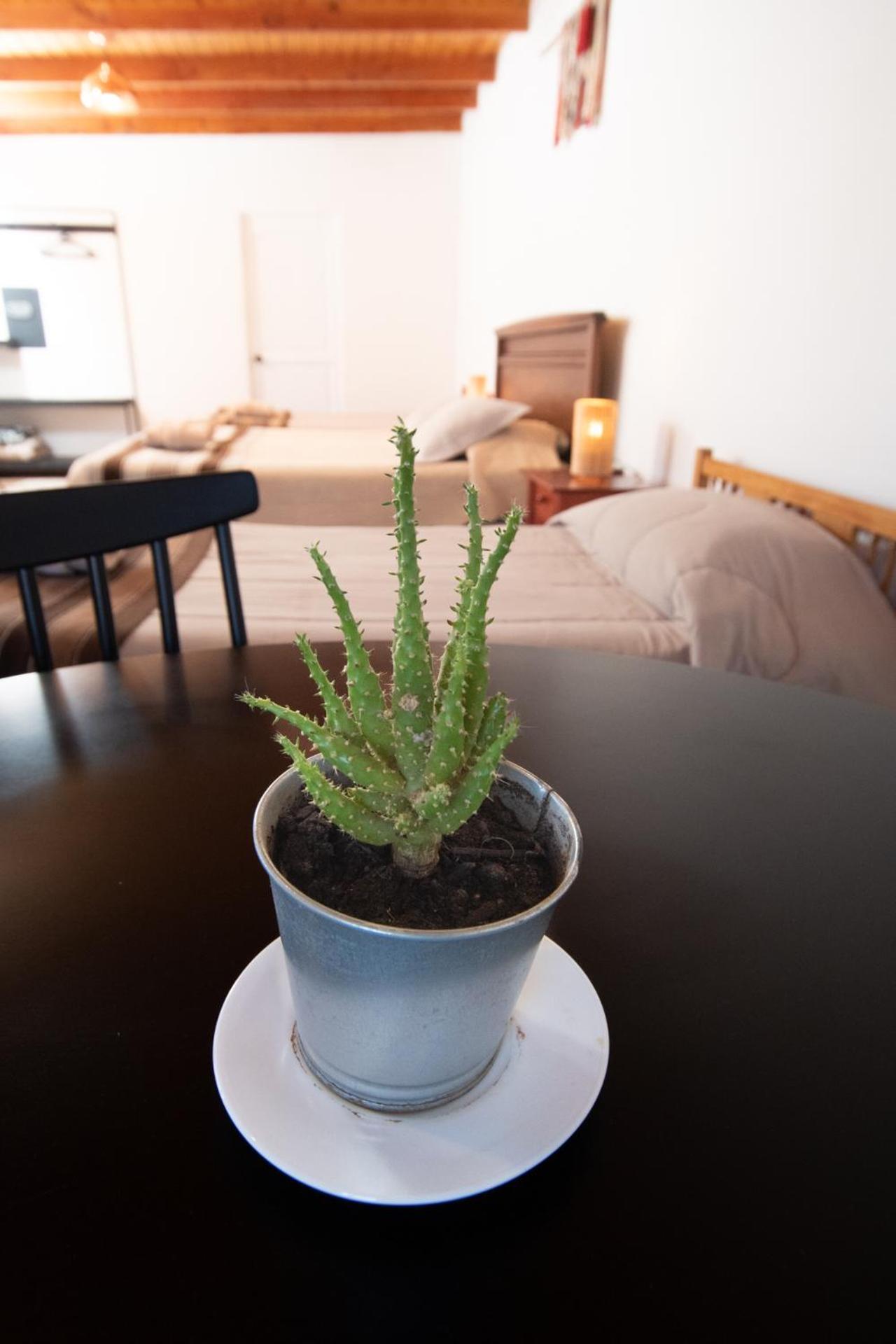 Casa Lickana B&B San Pedro De Atacama Extérieur photo